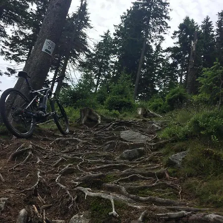 Dom Rajka Строне-Слёнске