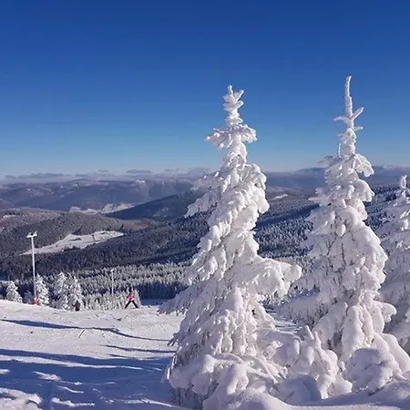 Дом отдыха Dom Rajka *