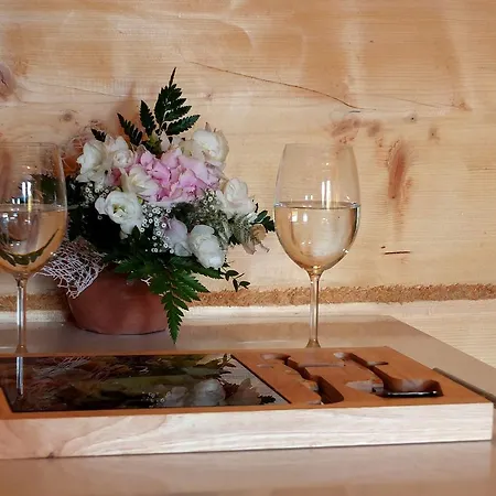 Дом отдыха Dom Rajka Строне-Слёнске