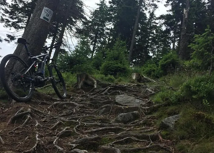 Dom Rajka Stronie Slaskie