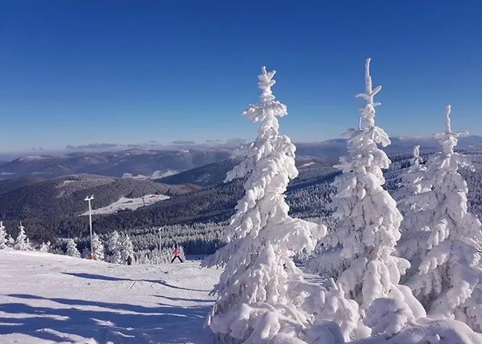 Дом отдыха Dom Rajka *