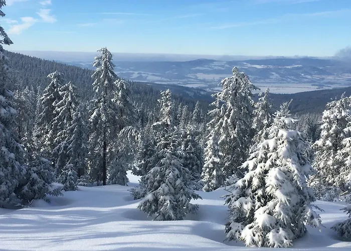 Dom Rajka Дом отдыха *